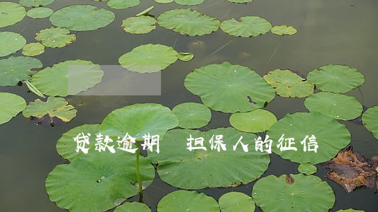 贷款逾期 担保人的征信 贷款逾期 担保人的征信